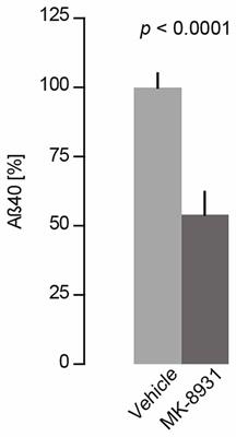 BACE1 Inhibitor MK-8931 Alters Formation but Not Stability of Dendritic Spines